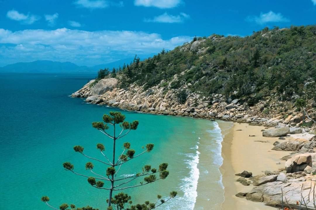 Beachside Cottage - A Private Peaceful Hidden Gem 50M To Beach Nelly Bay Экстерьер фото